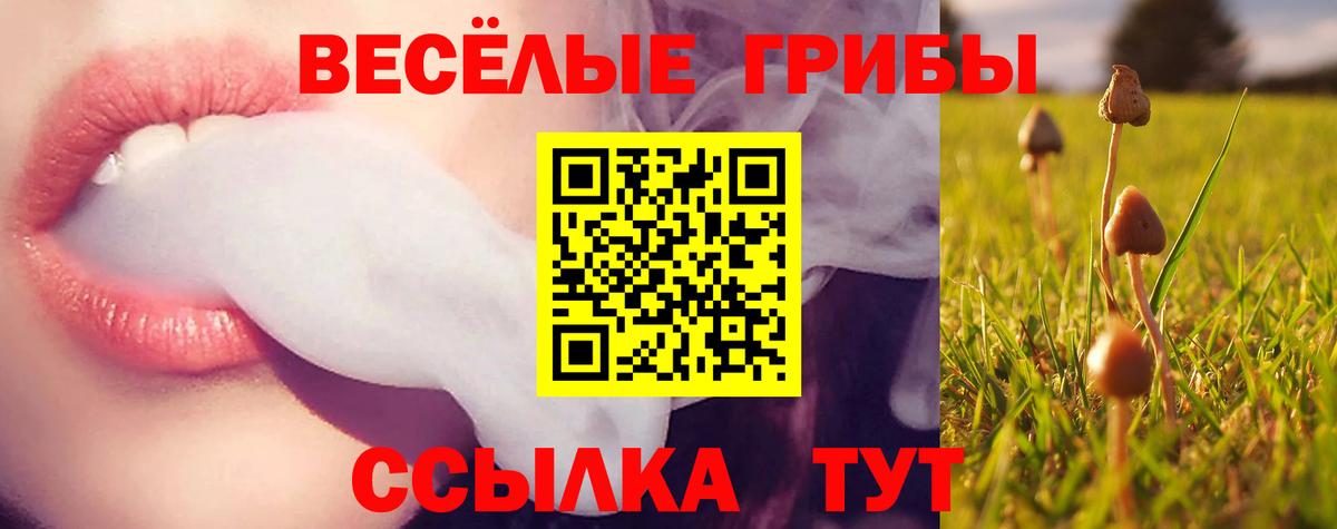 Псилоцибиновые грибы Psilocybe  Псилоцибиновые грибы Psilocybine cubensis  Вход с VPN  Вязники 